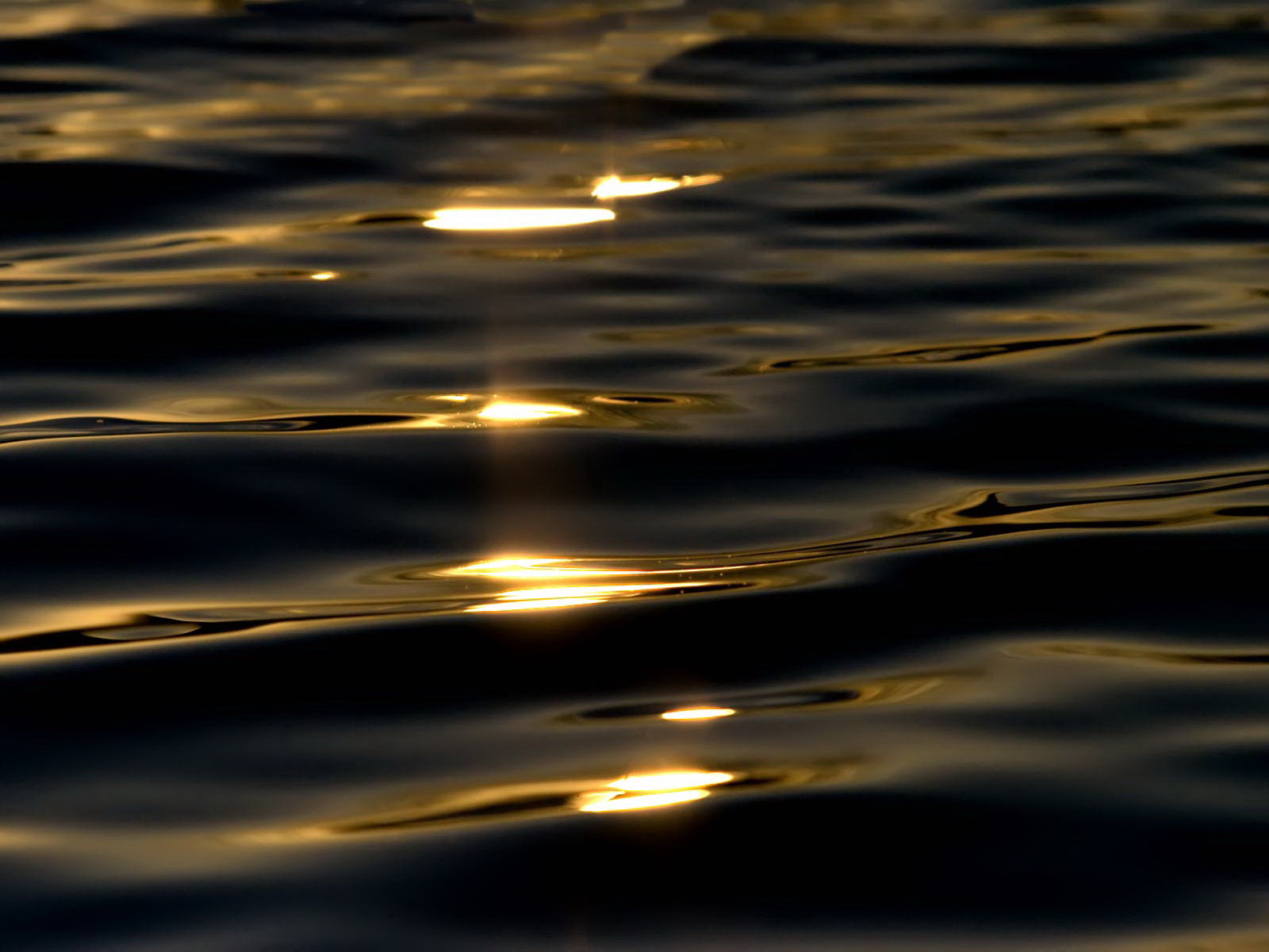 Gif солнечные блики на воде